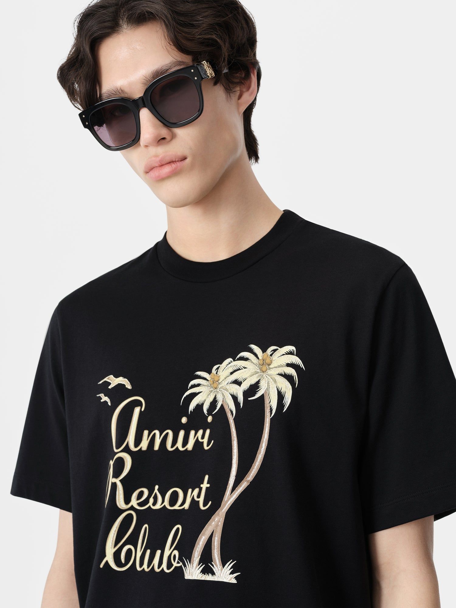 Amiri Twisted Palms Tee Men T Shirts Black | VRWISAH-92